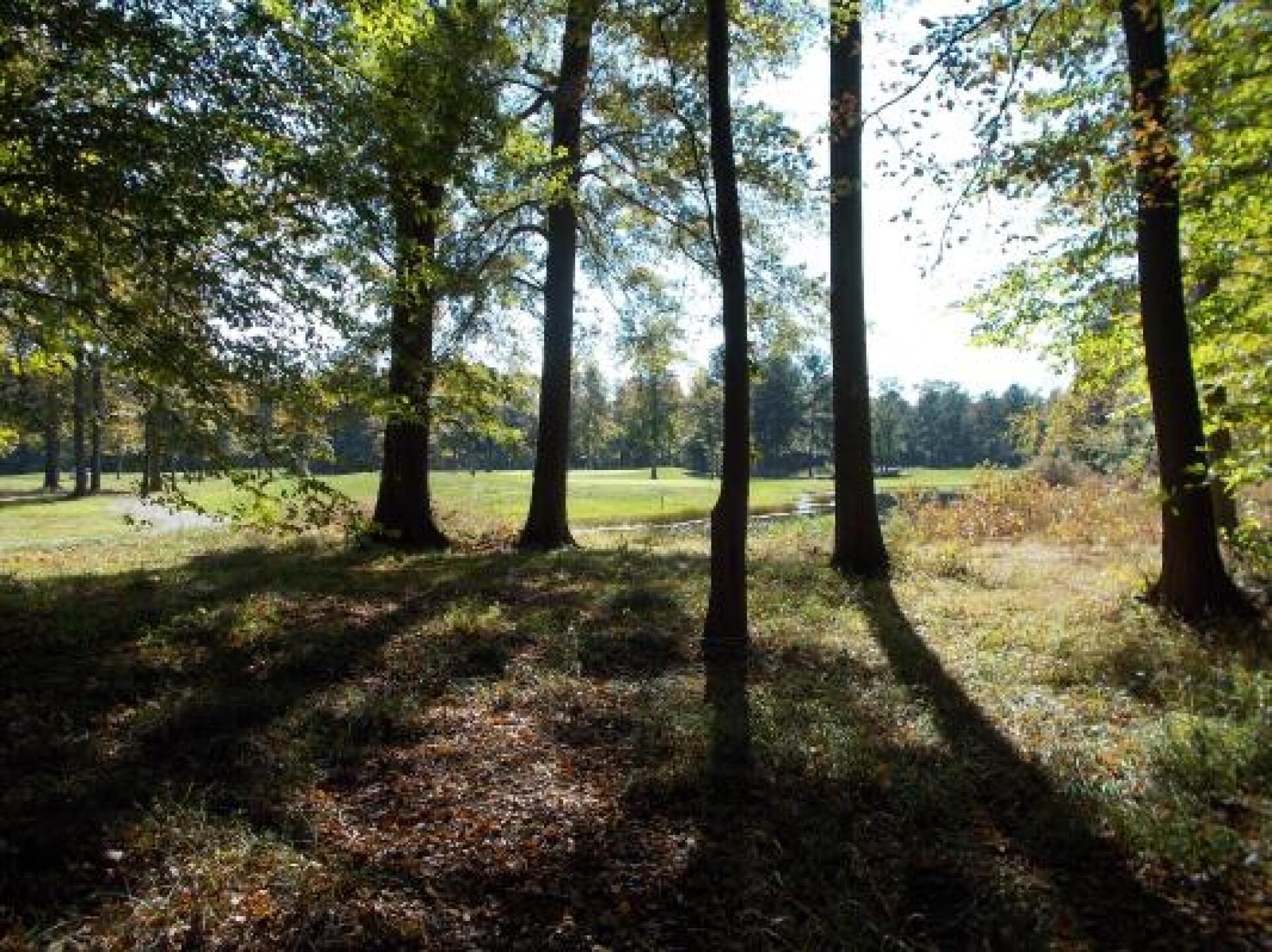 Behind the 12th Green (Photo submitted by OtterMan on 10/24/2012)