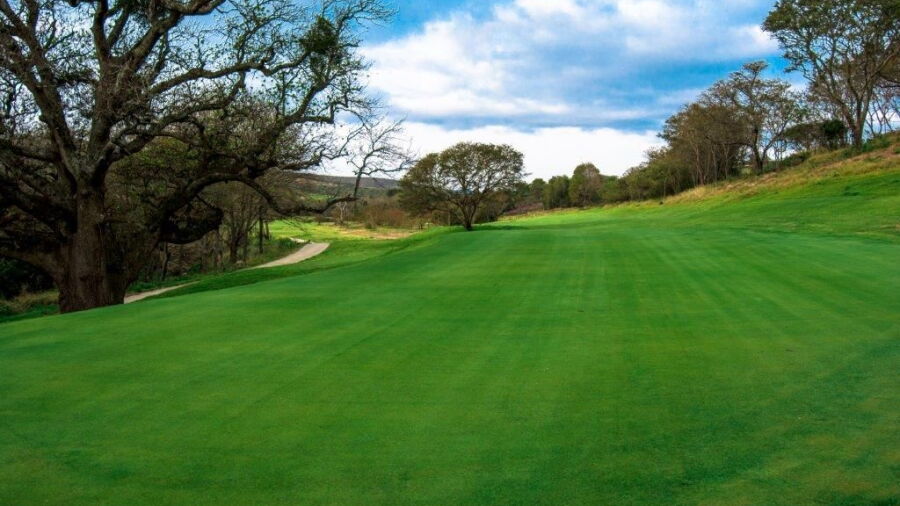 The Belmont GC: #17