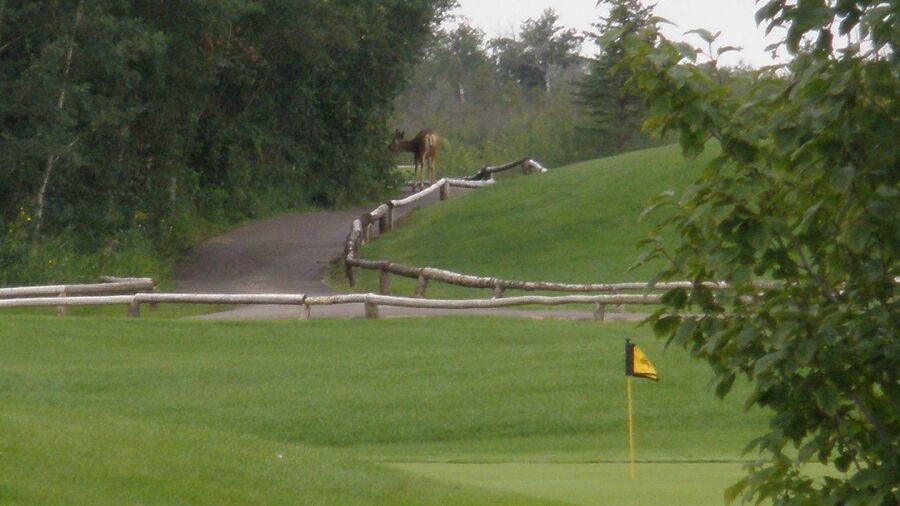 Two Hills Lions GCC
