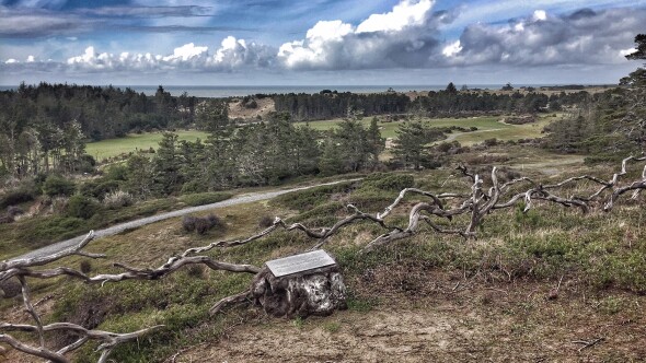 Bandon Trails at Bandon Dunes Golf Resort - hole 14 