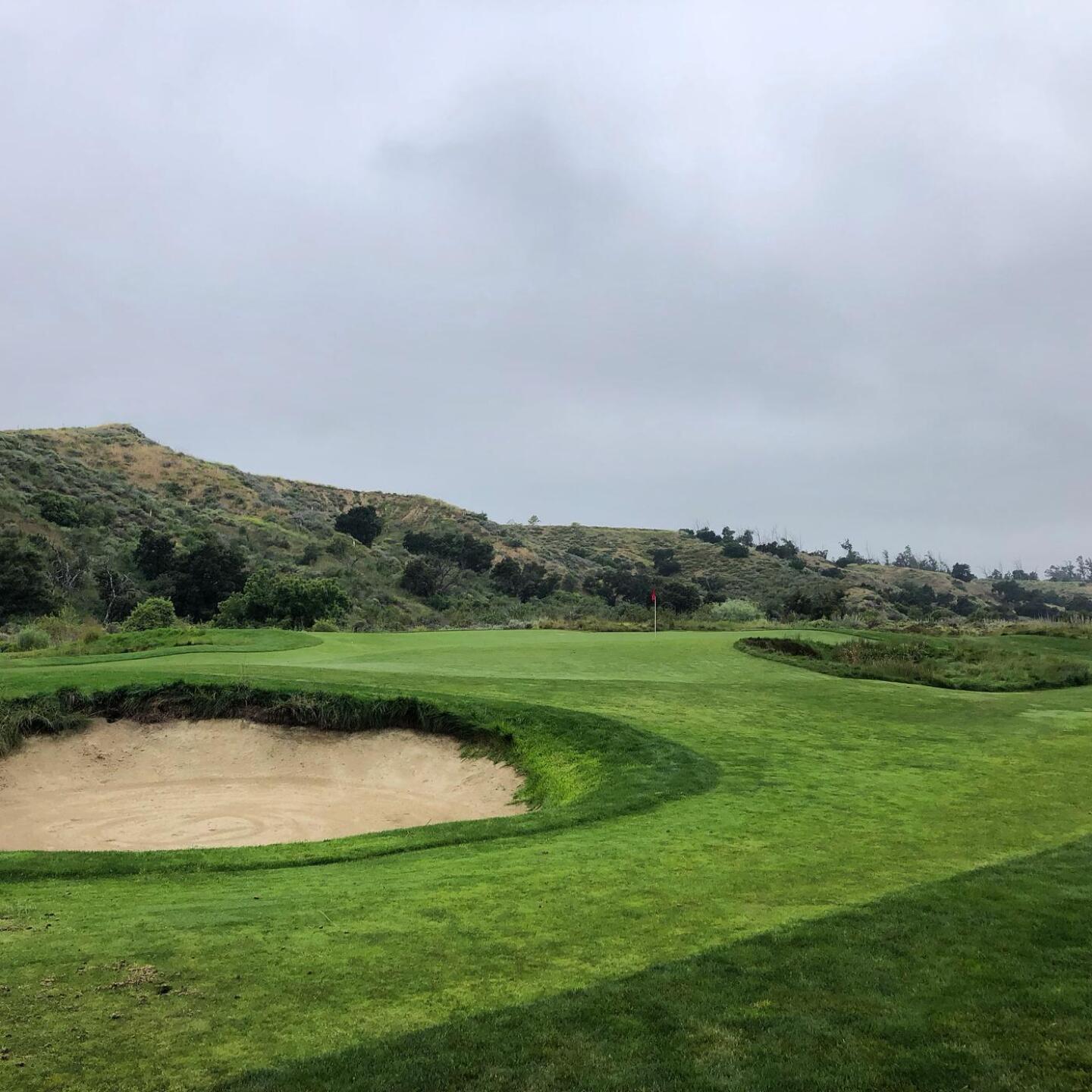 (Photo submitted by BrandonWebb on 06/06/2023)