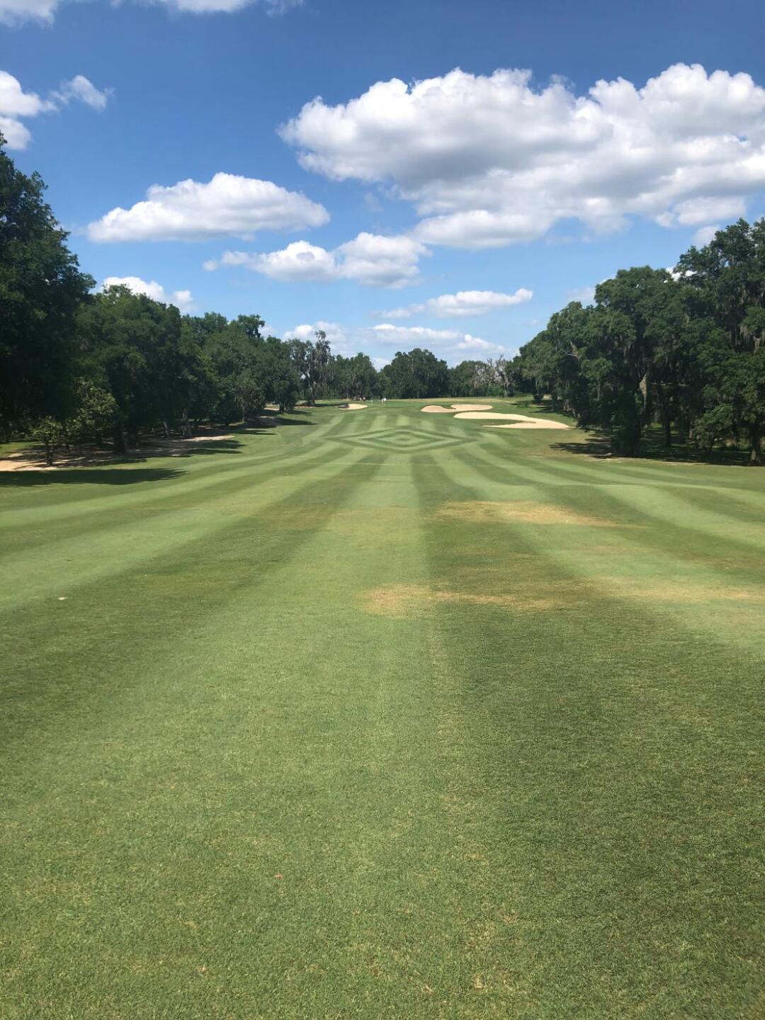 (Photo submitted by Richie4326581 on 05/02/2019)