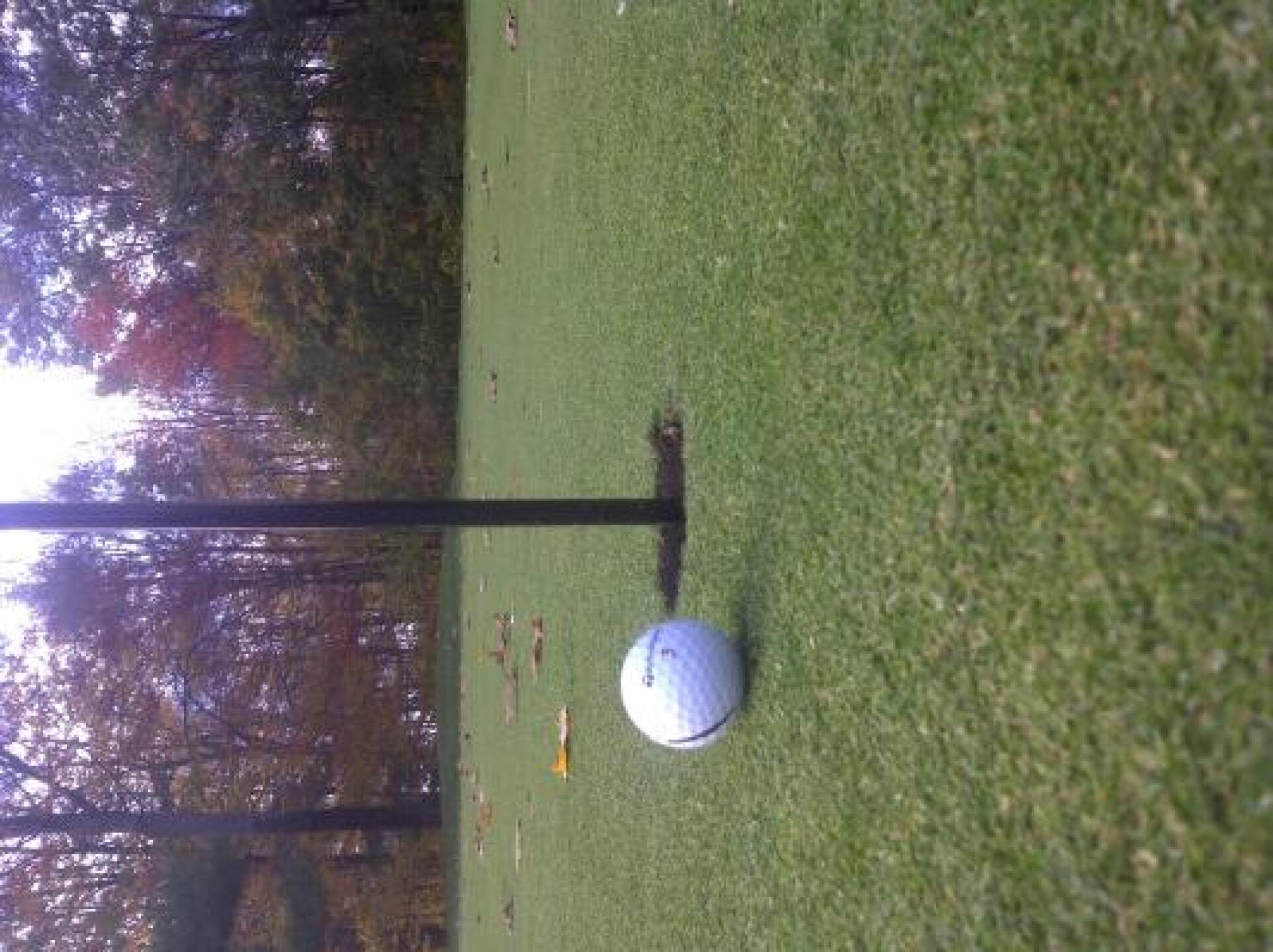 Tap in (Photo submitted by siguy72 on 10/24/2013)