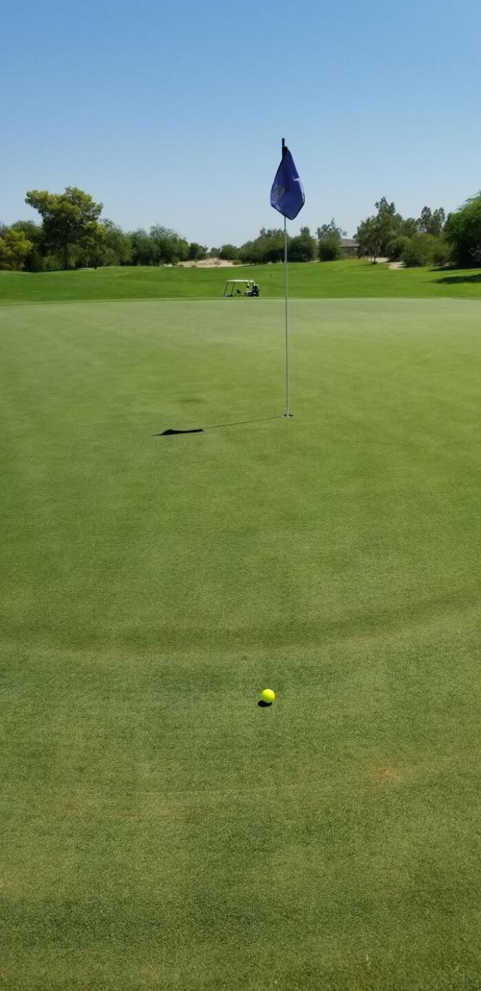 (Photo submitted by mikey1st on 09/03/2019)