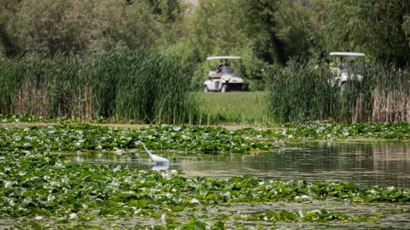 Glendale Lakes GC