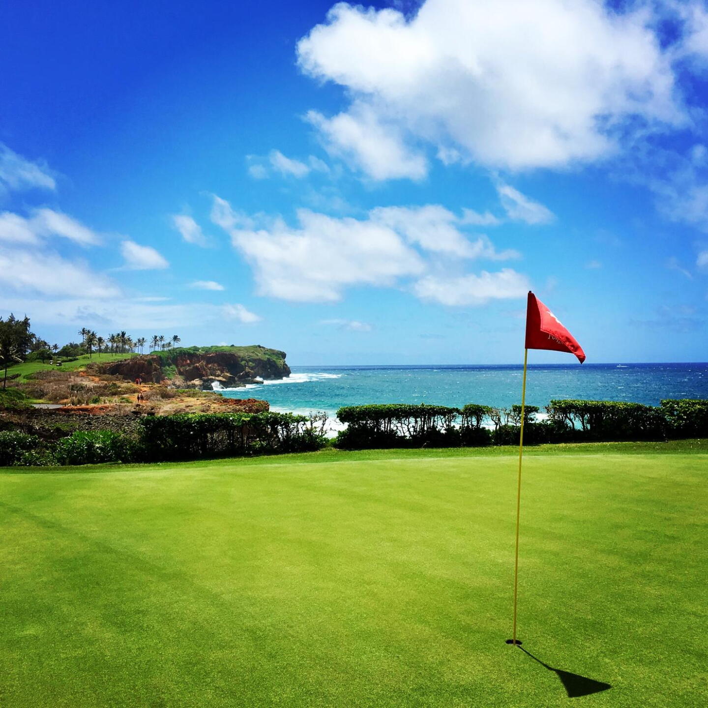 View from behind par-4 16th hole. (Photo submitted by BrandonWebb on 06/07/2018)