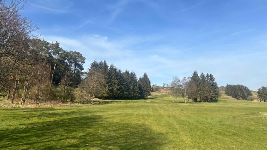 Eastwood Twelve GC