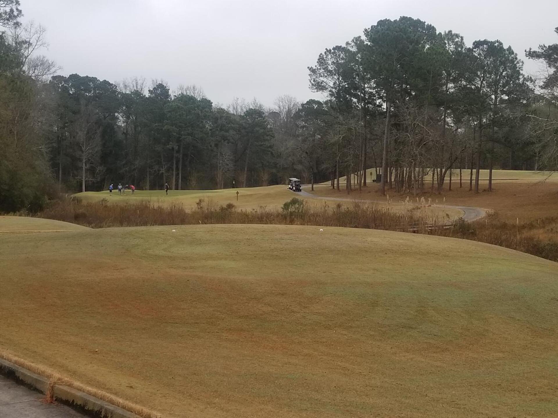 Tee Shot on Par 3 #2 (Photo submitted by jameyosteen on 12/28/2021)