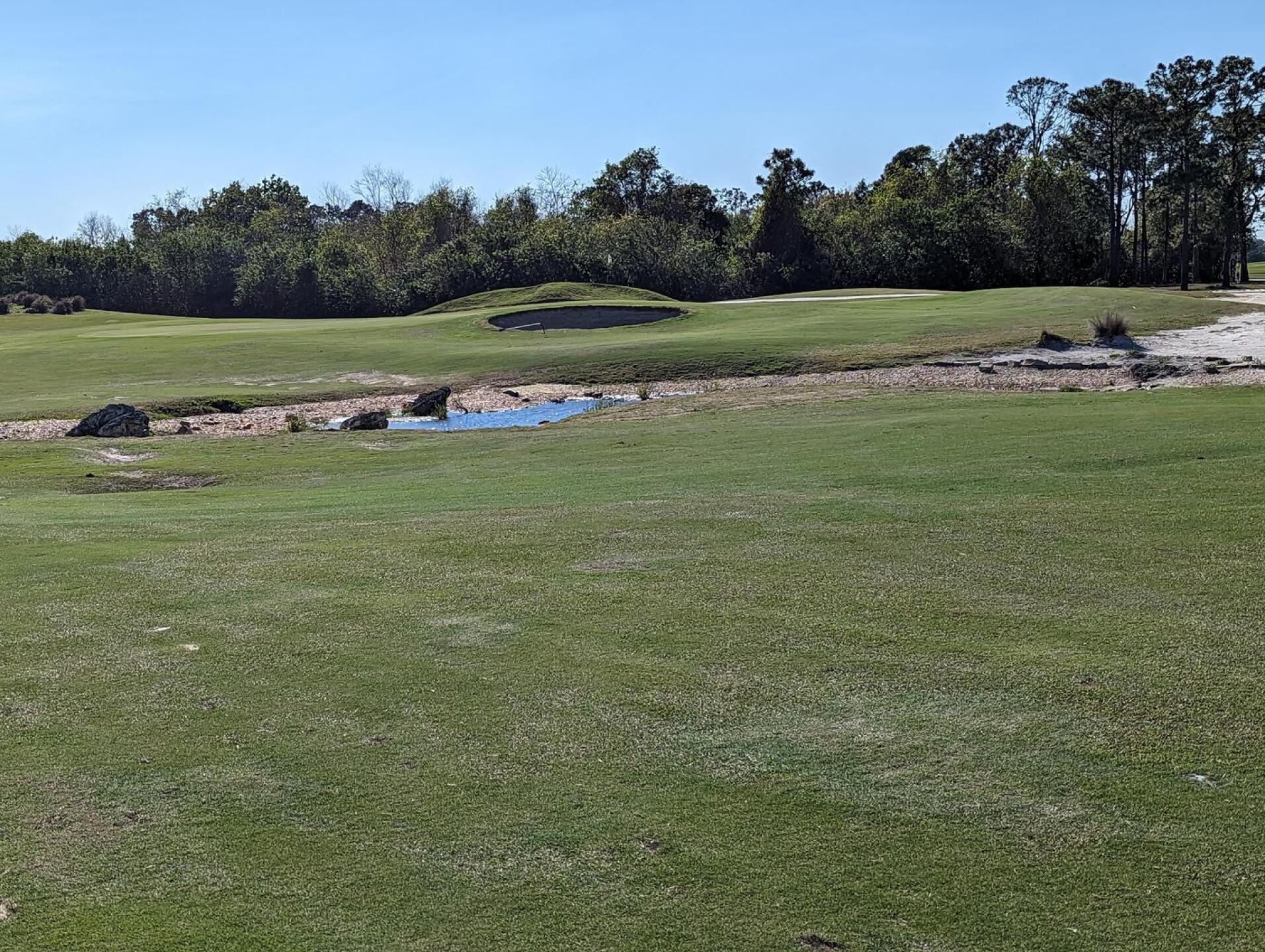 (Photo submitted by gymjudge on 02/15/2023)