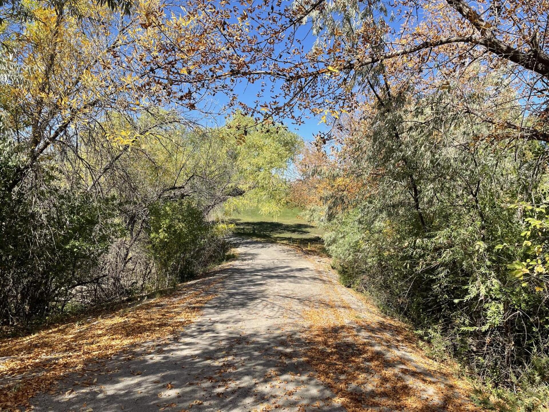 When it’s October and the trees got the message. (Photo submitted by brandon2418 on 10/05/2021)