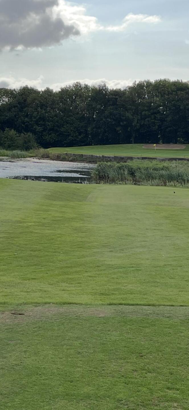 (Photo submitted by Trev007 on 09/01/2025)