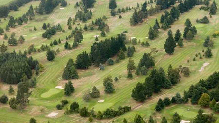 Ashburton GC: Aerial view