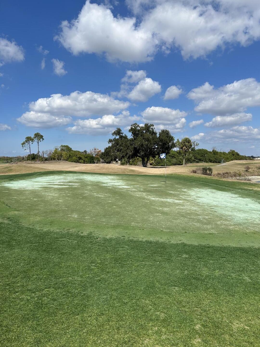 (Photo submitted by elliot6045 on 02/15/2026)