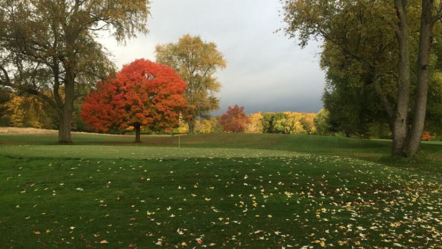 Limberlost GC
