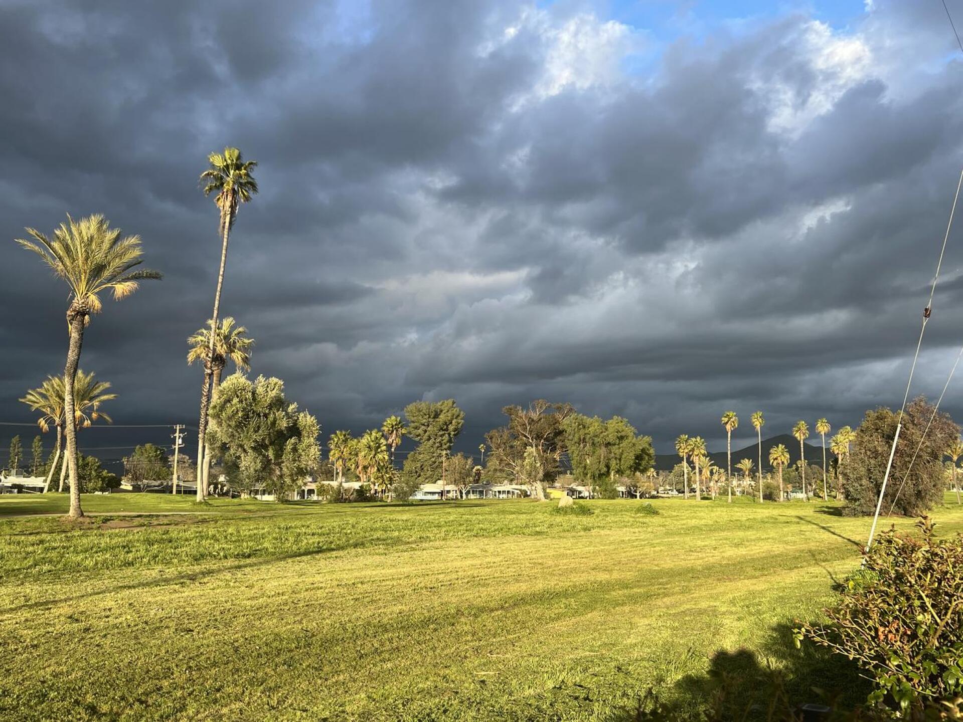 (Photo submitted by u314163093968 on 03/26/2023)