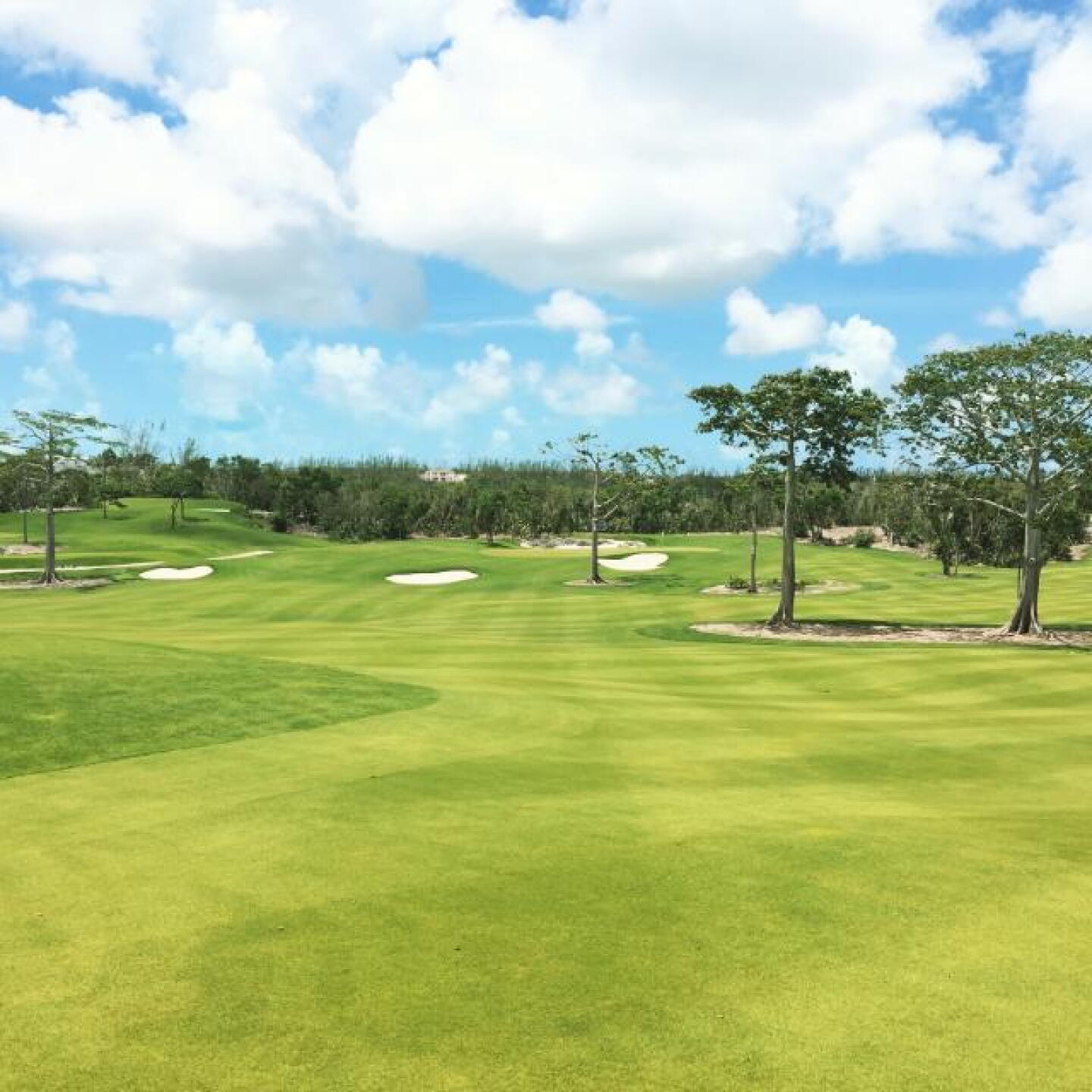 View from short of the 17th green of the 13th green at Royal Blue (Nick Menta/Golf Advisor) (Photo submitted by NickMentaGC on 07/08/2017)
