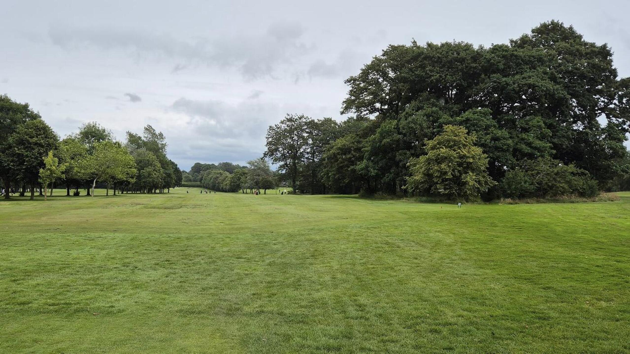 (Photo submitted by u314162782538 on 07/25/2024)