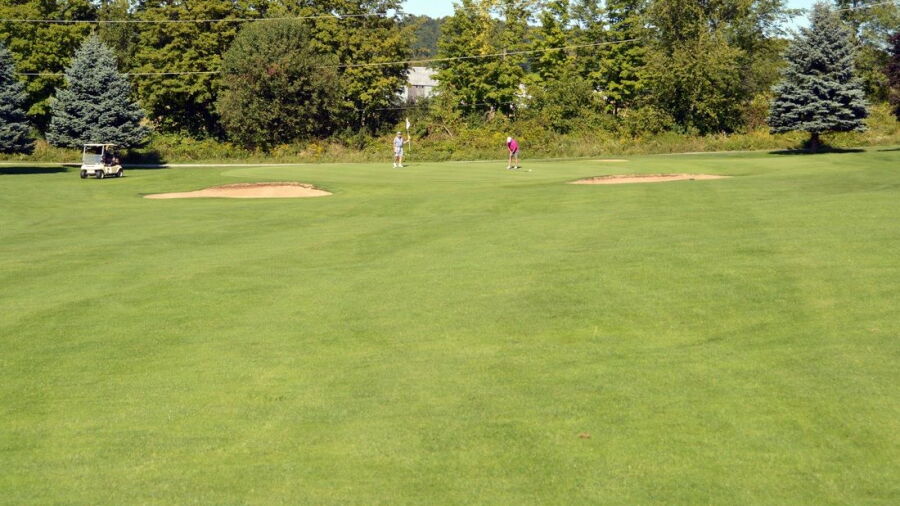 Evergreen GC: #5