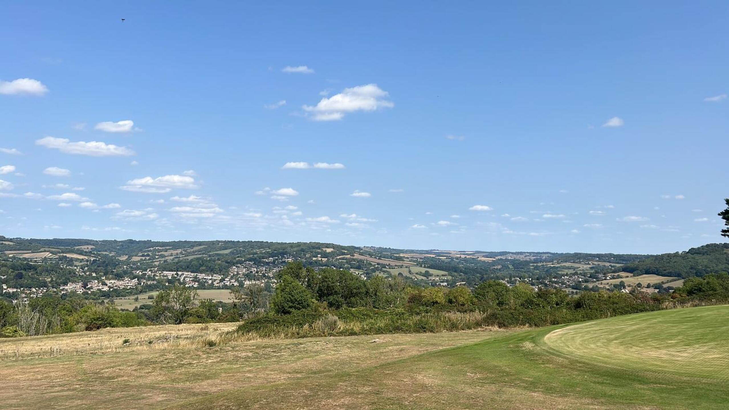 (Photo submitted by t206644509 on 08/16/2025)