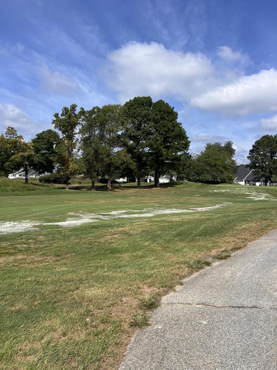 Burnt out fairways (Photo submitted by Rolly64 on 08/14/2025)
