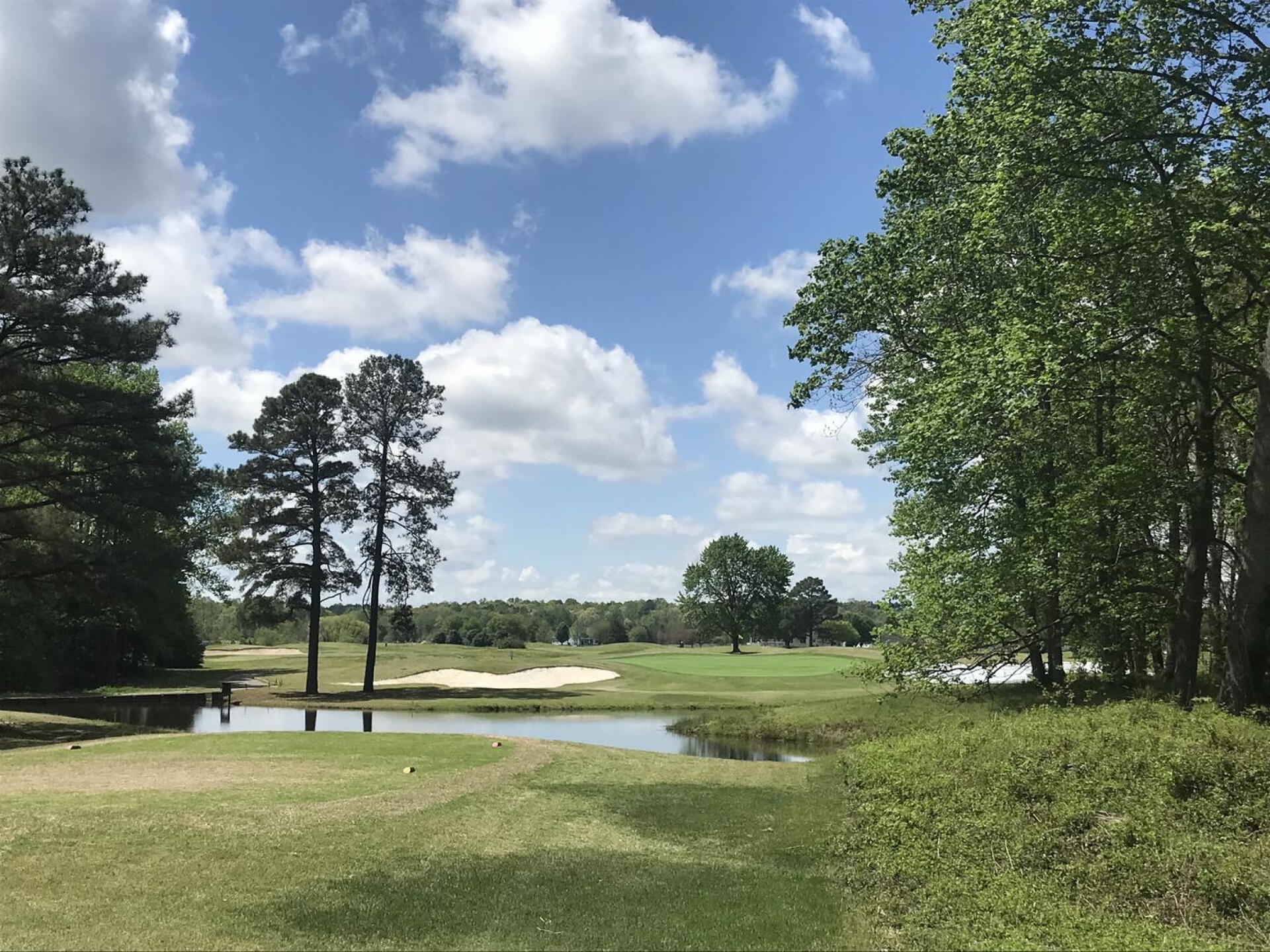 This is one of my favorite holes on this course! It’s a par three and it’s absolutely gorgeous! (Photo submitted by Martha6288409 on 05/01/2023)