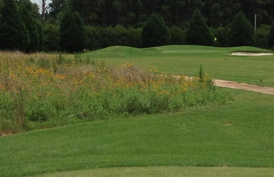 Penny Branch Club in Furman, South Carolina, USA GolfPass