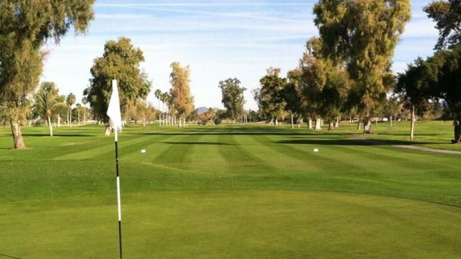 Toka Sticks GC