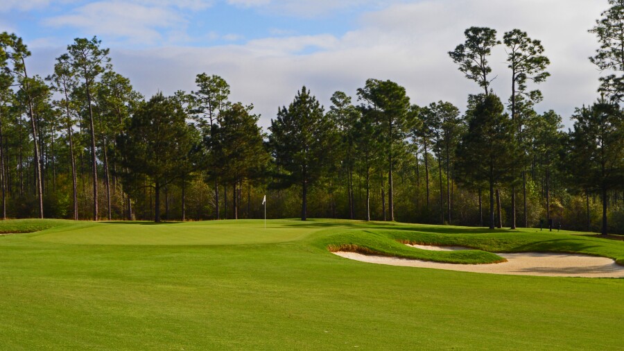 Grand Bear G.C. - 12th