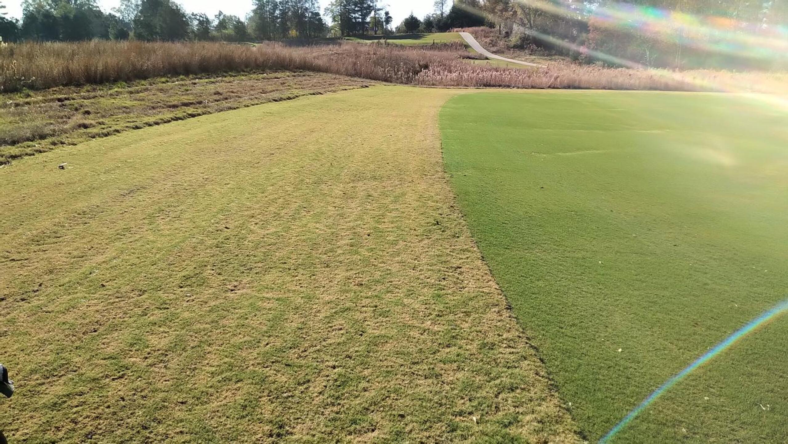 Fairway, 1st Cut, Native Grass (Photo submitted by JayEmm on 11/20/2020)