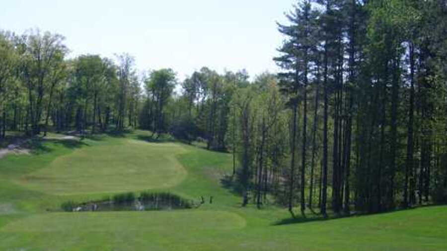 Tree Links GC