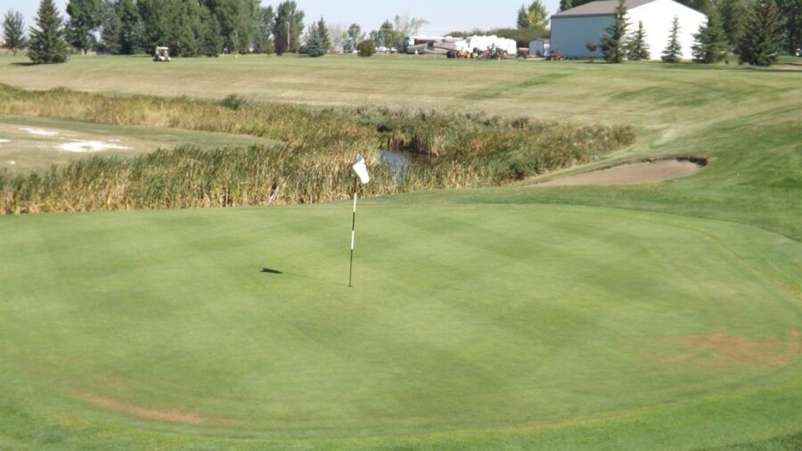 Acme GC: #4