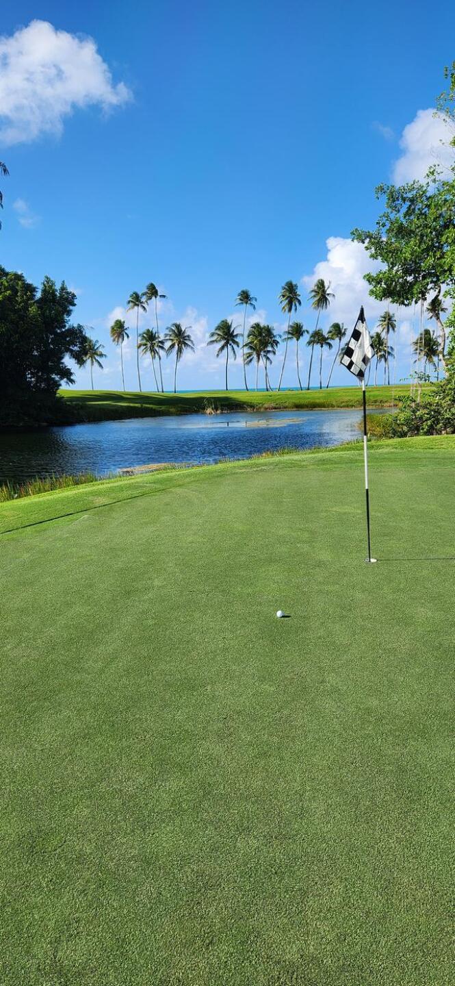 (Photo submitted by Rob6354105 on 03/17/2024)