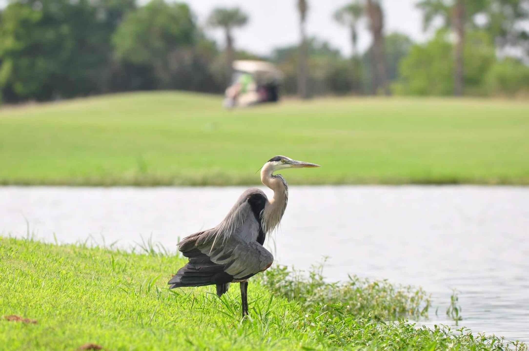 (Photo submitted by EAdf9LqJFlJsBgtJCkT8 on 06/26/2023)