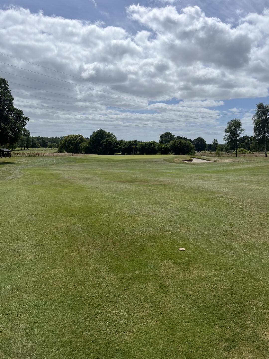 (Photo submitted by u314160400472 on 07/05/2024)