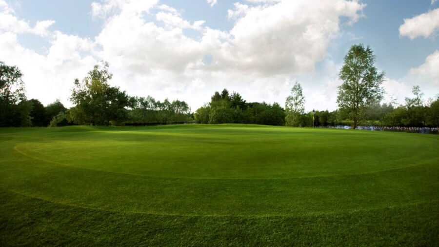 12th green at The Essex Golf and Country Club