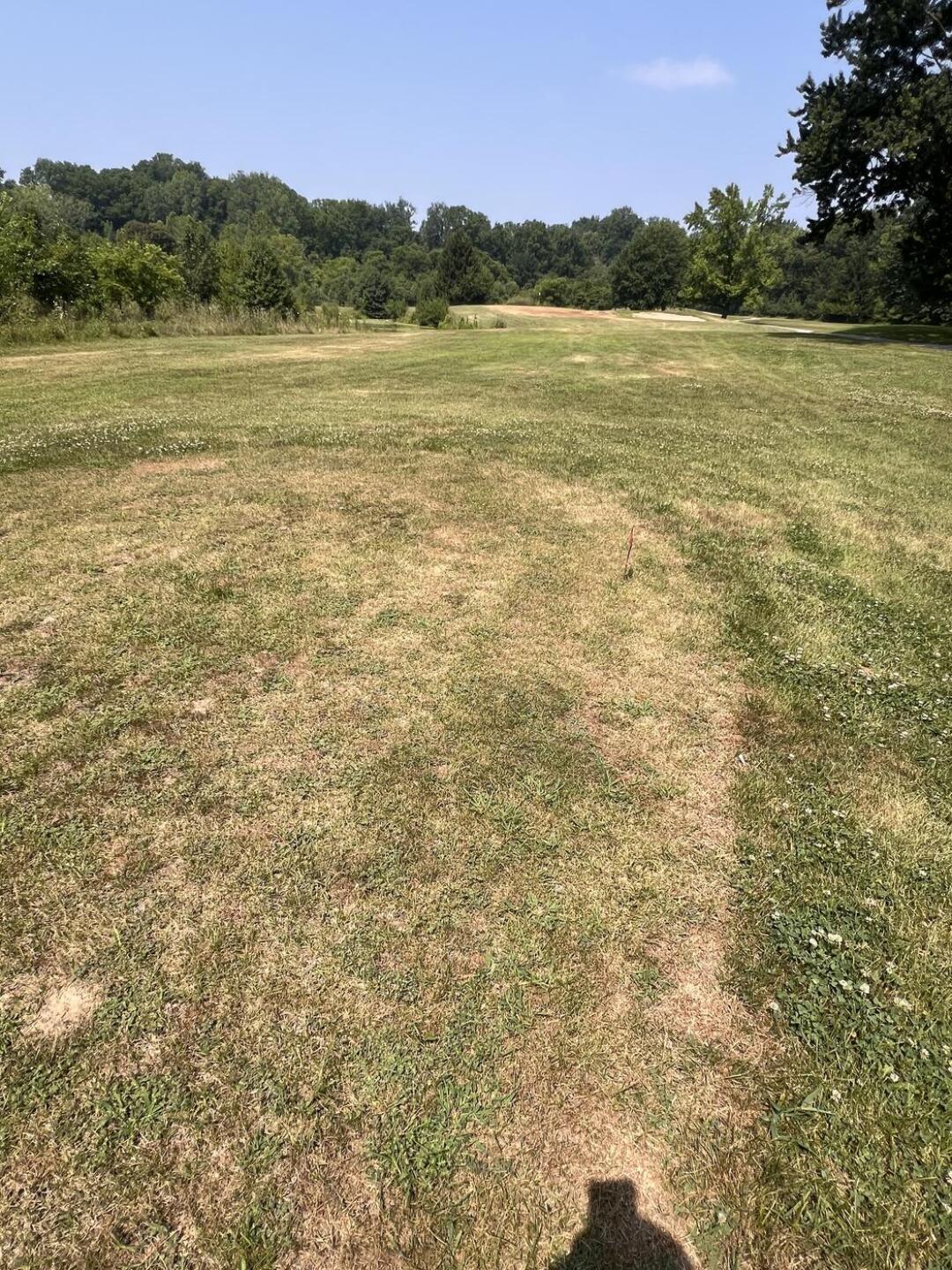“Bunker” (Photo submitted by u000002880396 on 07/19/2026)