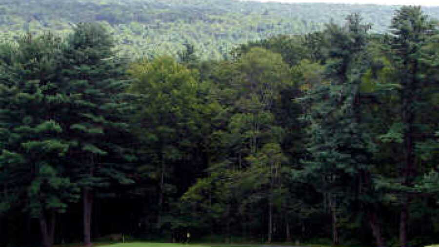 Cricket Hill GC