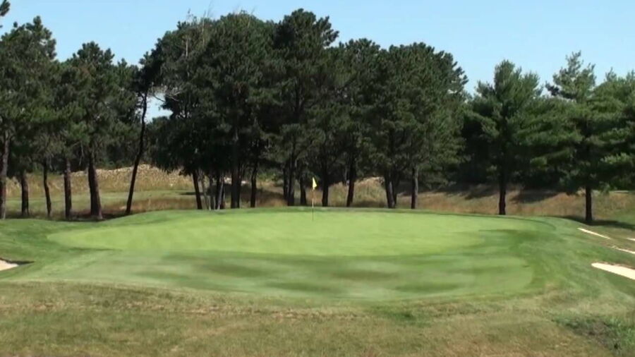 Pines at Colonial Springs GC: #8