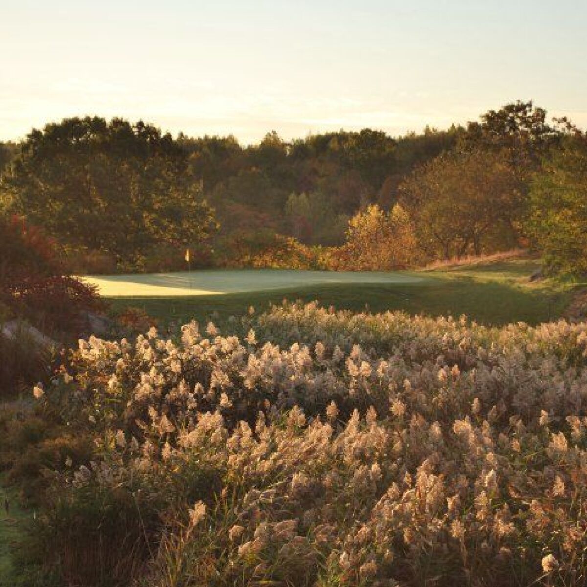 The Meadow At Peabody in Peabody, Massachusetts, USA GolfPass