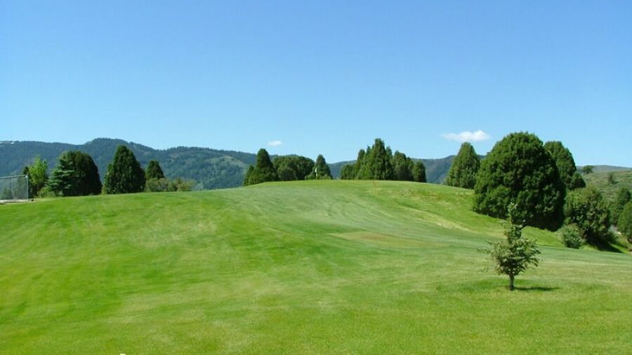 Oregon Trail CC: #7