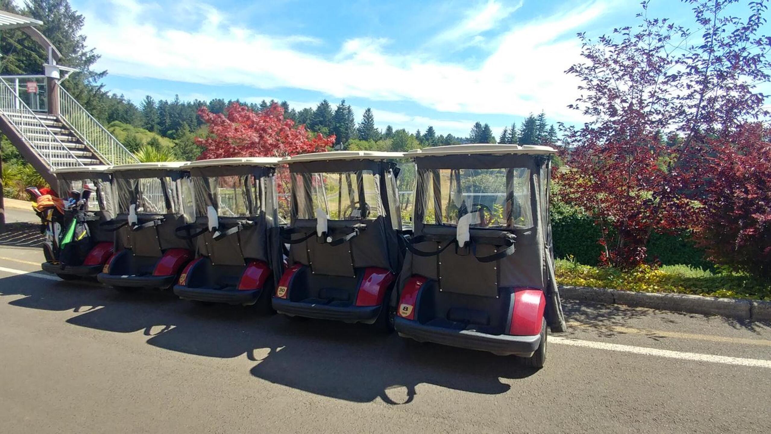 Carts on deck after 2 holes (Photo submitted by uEVVY2486EV on 08/04/2021)