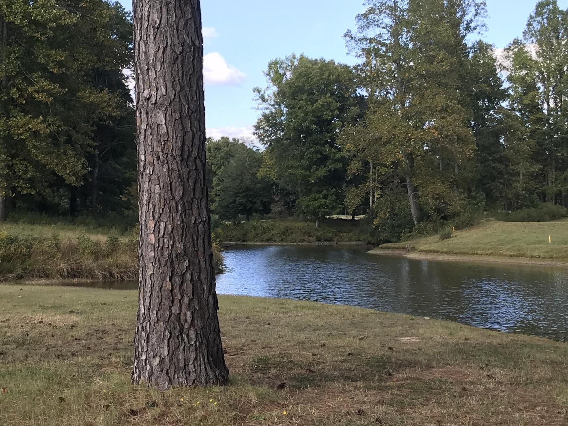 Beautiful views on the seventh hole par three over the water! (Photo submitted by Martha6288409 on 10/09/2022)