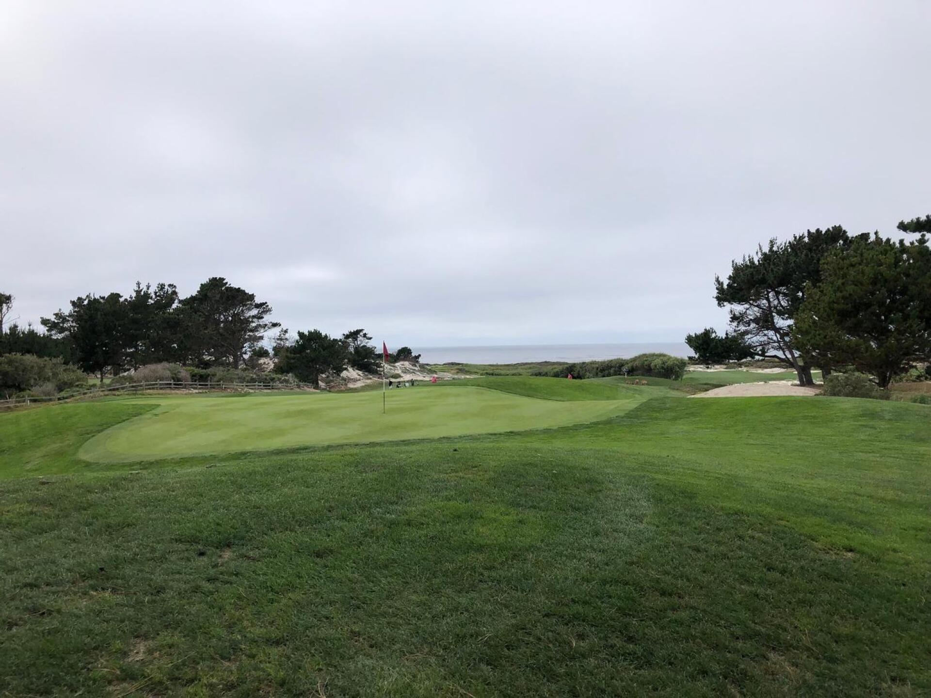 9 green (Photo submitted by GRaleigh on 08/16/2022)