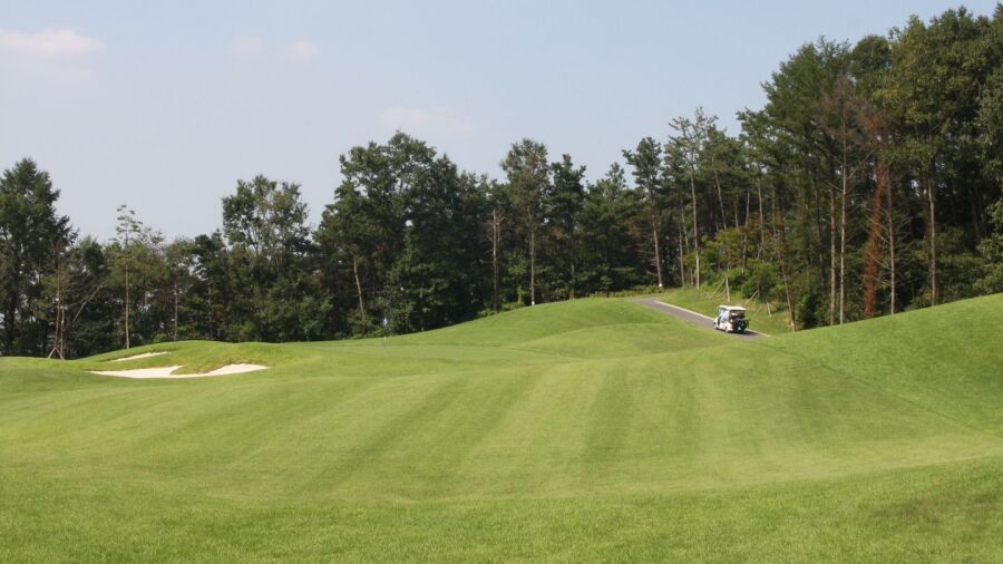 Zensfield CC