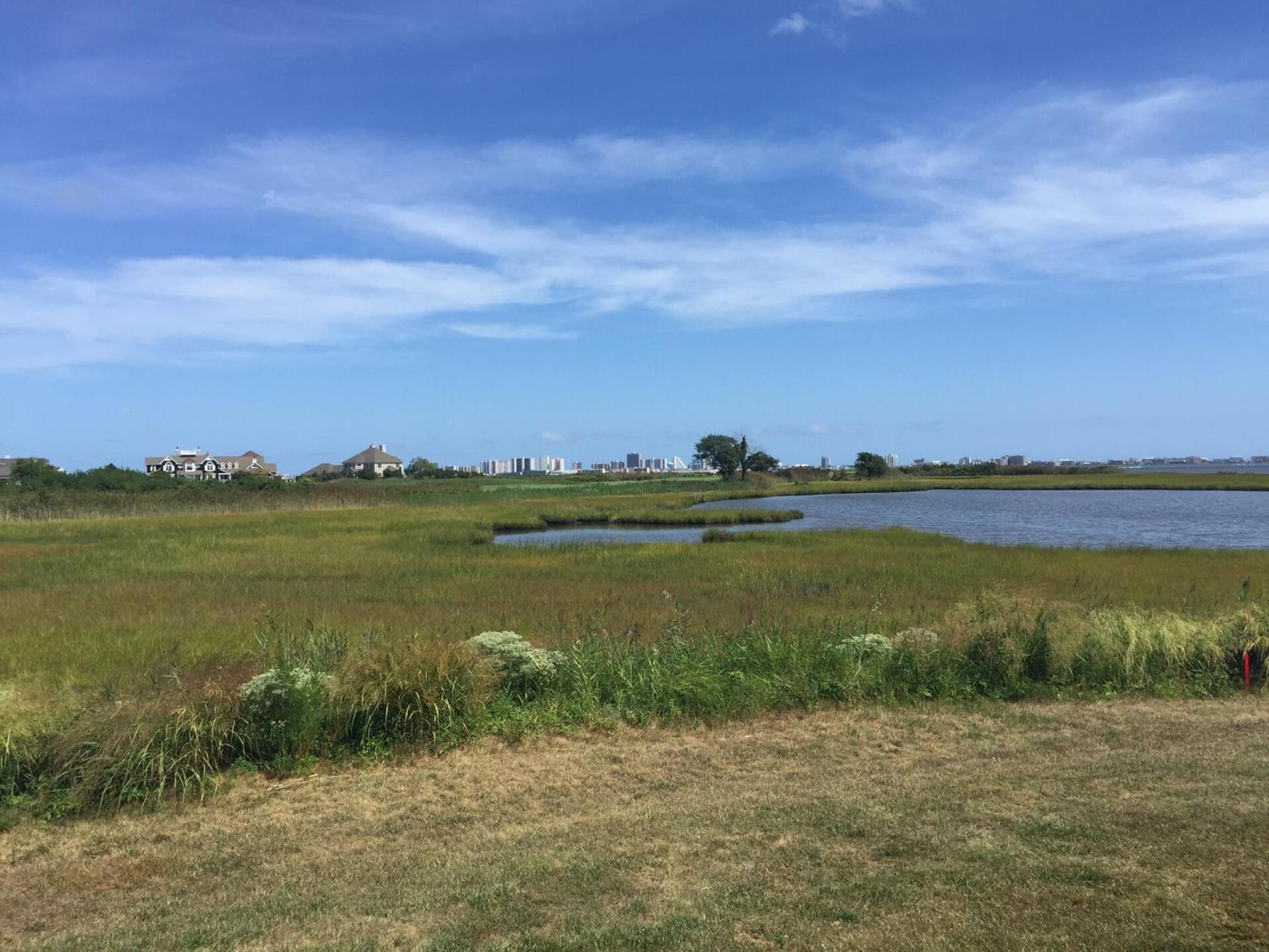 (Photo submitted by MasterTigerWoods on 08/01/2016)