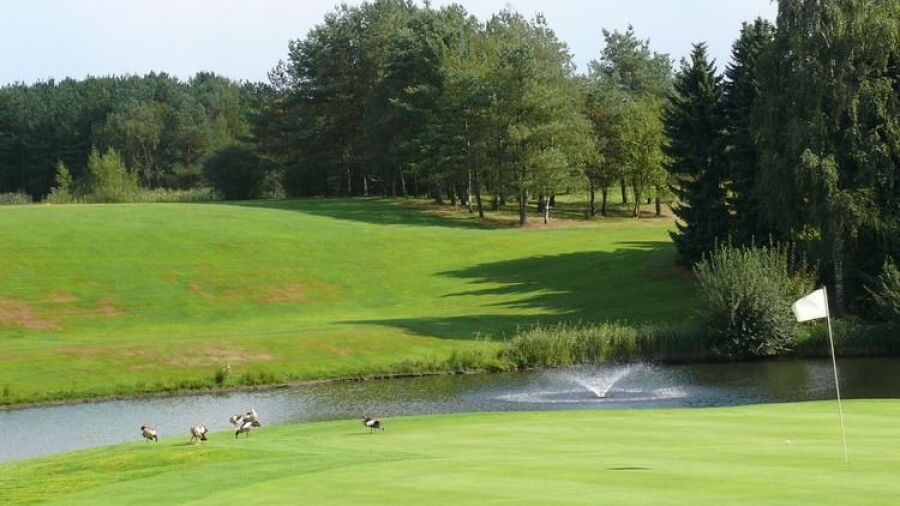 Spiegelven GC