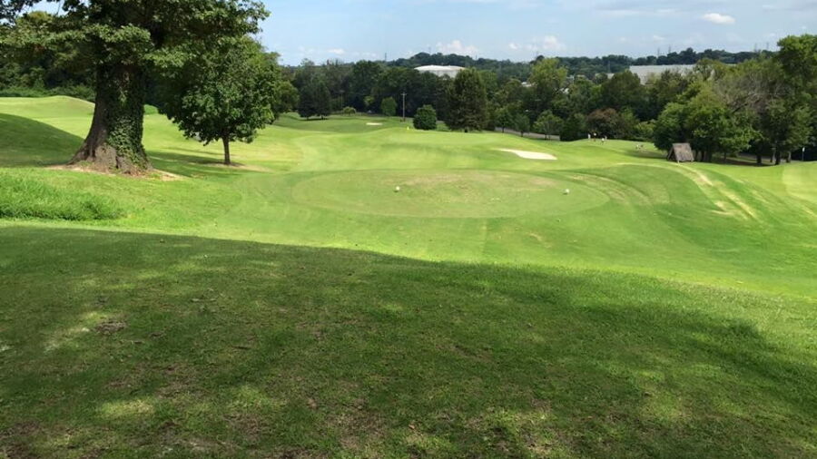 VinnyLinks GC: #4