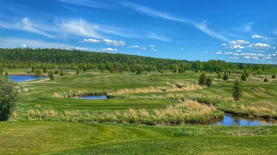 Trestle Creek - views