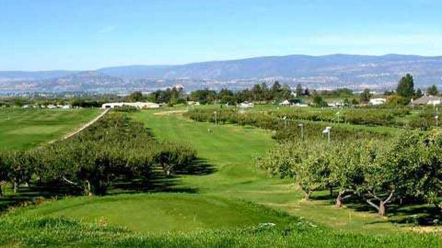 McCulloch Orchard Greens GC: #9