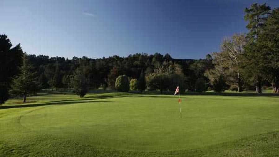 Redwood Park GC: #11